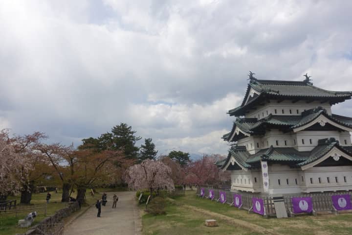 弘前城とその周辺の桜