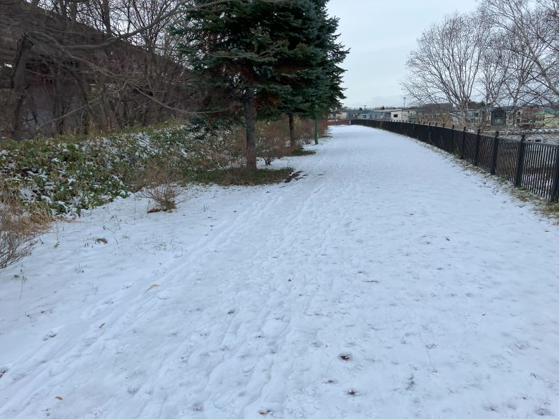 雪で埋まった北広島駅前の歩道