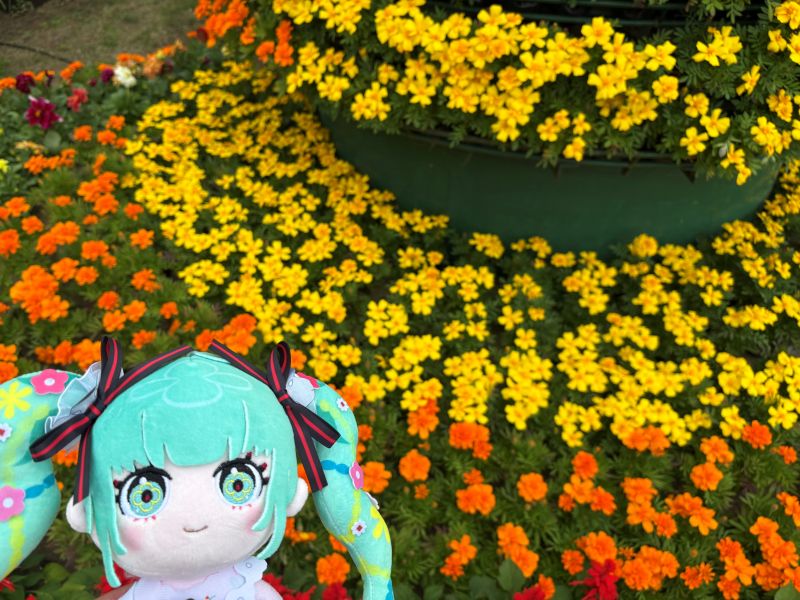 会場付近ではお花まつりも