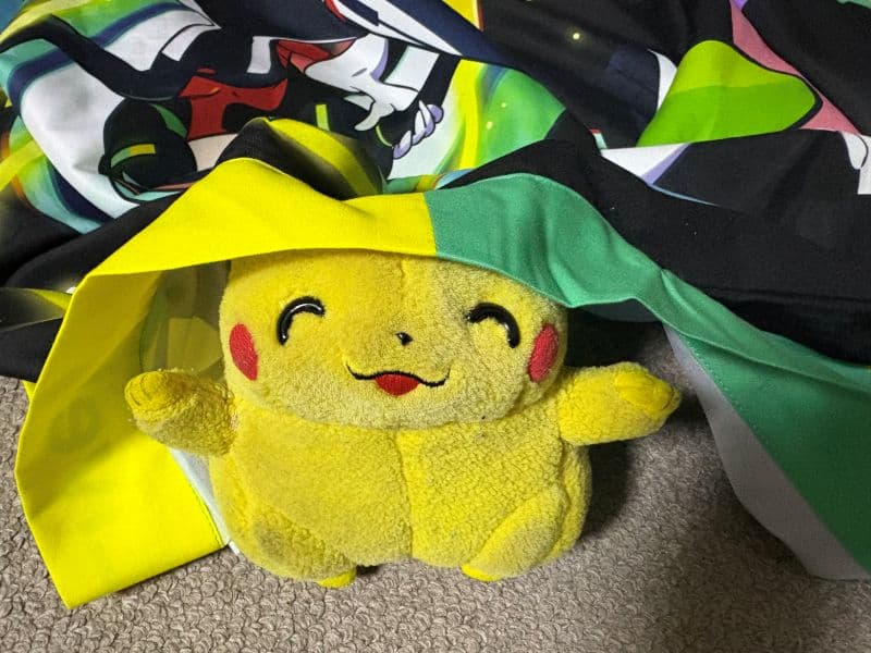 うちのピカチュウその2