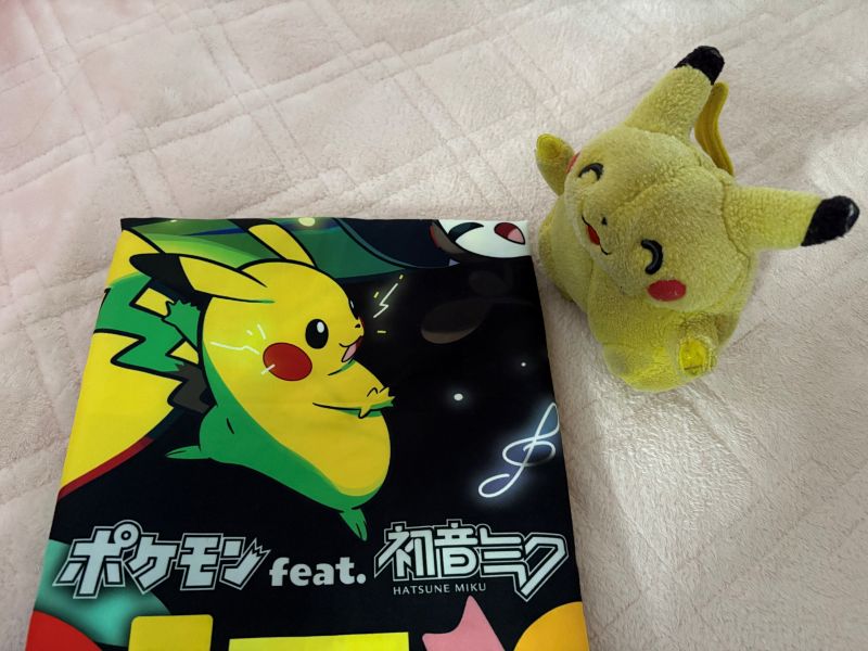 うちのピカチュウその1